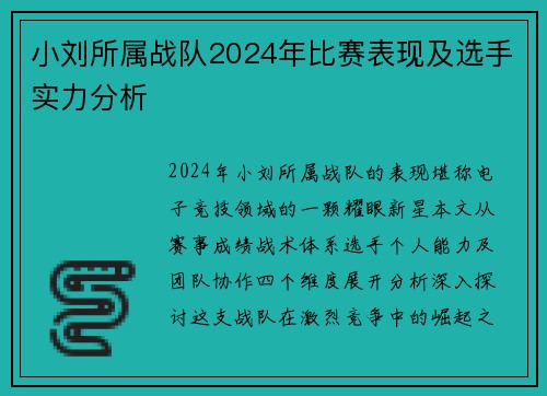 小刘所属战队2024年比赛表现及选手实力分析